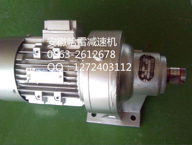 WB series micro cycloid reducer