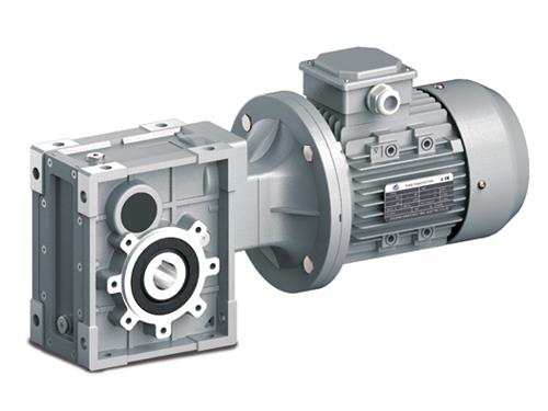 TSRV series stainless steel worm gear reducer