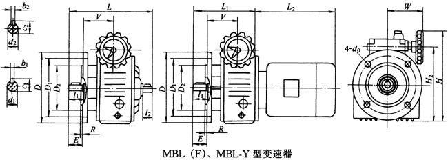 MBL(F)MBL-YͱҪߴ