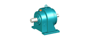 SJ type double internal meshing planetary reducer