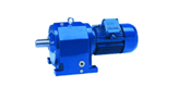 CJ series gear motor