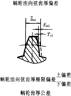 平面二次包络环面蜗杆传动精度蜗杆蜗轮误差的定义及代号gbt164451996