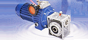 BWJ series gear worm reducer