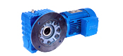 JRTS gear - worm gear motor