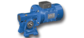 ANRV series worm gear motor