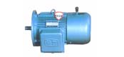 YDEJ series multi speed electromagnetic braking three-phase asynchronous motor (H80 ~ 160mm)