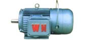 YEJ series three phase asynchronous motor (H80 ~ 225mm)